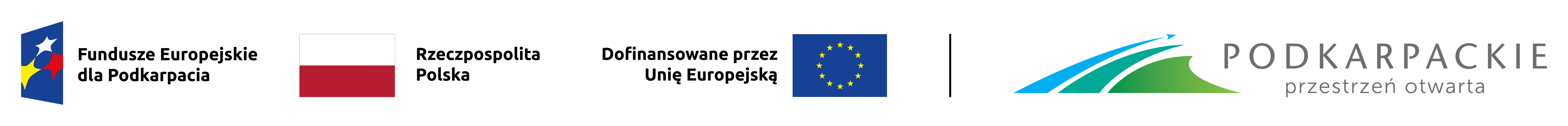 logo EFS Podkarpacie